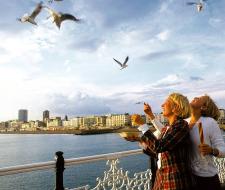 Sprachcaffe Brighton Language School