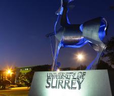 University of Surrey