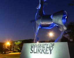 University of Surrey
