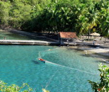 France Langue Language School in Martinique
