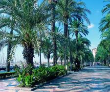 Enforex Language School in Alicante