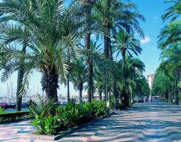 Enforex Language School in Alicante