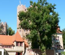 GLS Munich Castle Summer School