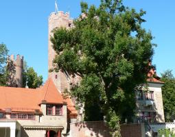 GLS Munich Castle Summer School