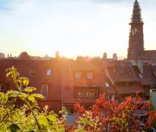 Alpadia Freiburg Language school