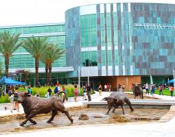 INTO University of South Florida