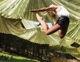 Idyllwild Arts Academy