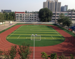 Summer Courses of Beijing Professional Institute Nong Ye