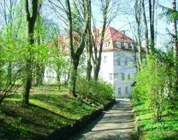 Summer Camp Humboldt-Institute Reimlingen