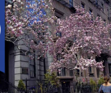 Summer Camp FLS Fisher College