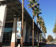 Summer Camp FLS California State University Fullerton