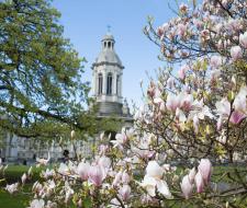 Trinity College Dublin Summer School