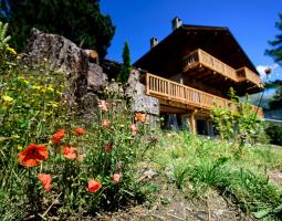 Altitude International Camps