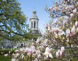 Trinity College Dublin Summer School