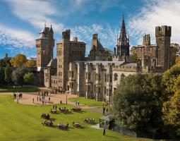 Celtic English Academy