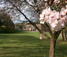 Bede’s Windlesham Summer School