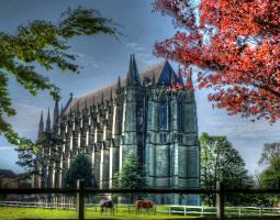 Bede’s Lancing College Summer School