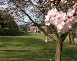 Bede’s Windlesham Summer School