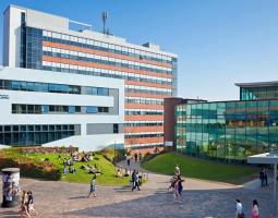 University of Sheffield