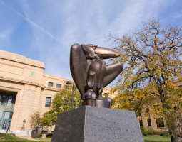 The University of Kansas