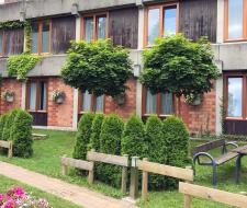 DID Oberwesel Summer Language Camp