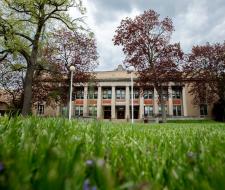 Concordia University Chicago (CUC)