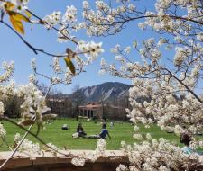 University of Colorado at Boulder (CU)