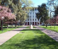 University of California Davis