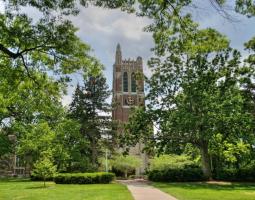 Michigan State University (MSU)