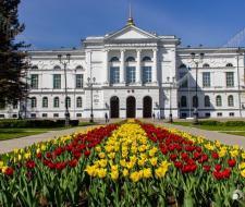 Tomsk State University (TSU)