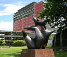 Universidad Central de Venezuela (UCV)