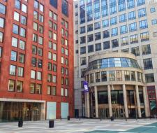 New York University