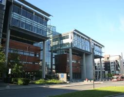 BI Norwegian Business School (School of Management)
