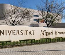 Universidad Miguel Hernández (UMH)