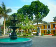 Universidad Nacional Mayor de San Marcos (UNMSM)