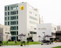 Universidad Peruana Cayetano Heredia (UPCH)