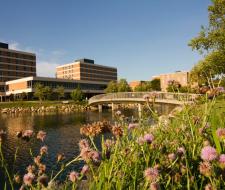 Oakland University (OU)