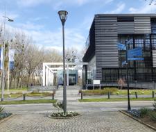 University of Novi Sad