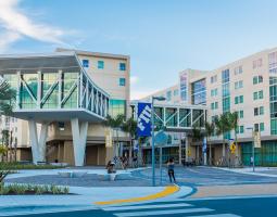 Florida International University (FIU)