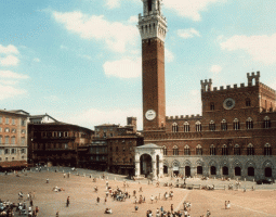Università degli Studi di Siena (UNISI)