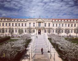 Université d'Avignon et des Pays de Vaucluse (UAPV)