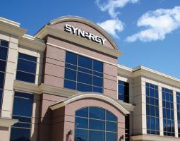 Synergy university