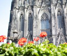 DID Deutsch Institut Summer School in Cologne