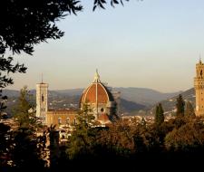 Linguaviva summer camp