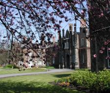 Saint John's University