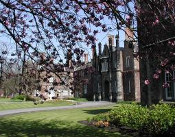 Saint John's University