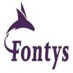 Logo Fontys University of Applied Sciences