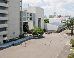 Cross Education Summer Academy (Language School)