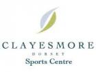 Logo Clayesmore summer camp with football, tennis and rugby
