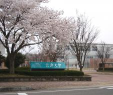 University of Aizu